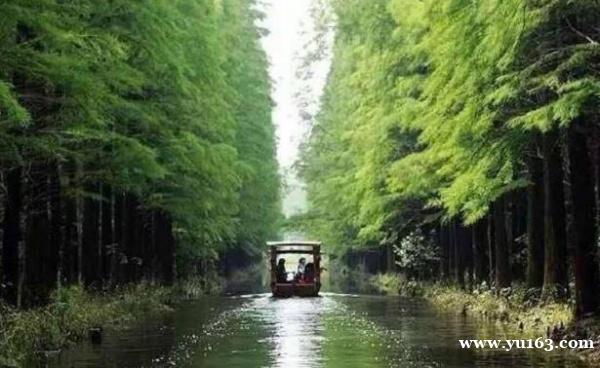 江苏位于在水上的公园，有“水上张家界”之称，距南京2小时车程 