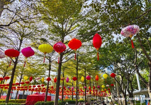 厦门元宵见闻，街头灯笼高高挂，海沧市民广场高甲戏正上演 