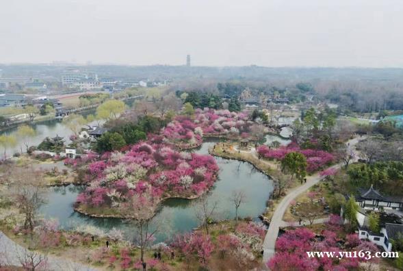 烟花三月下扬州   瘦西湖两个月迎来百万游客