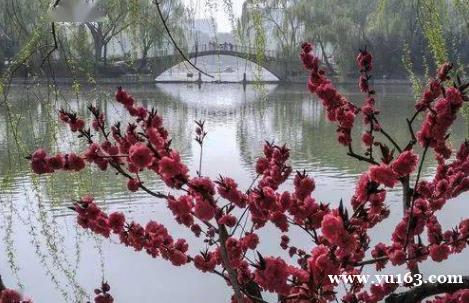 北京紫竹院，不一样的春景 