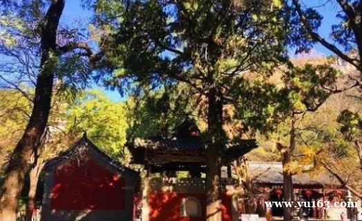 济南灵鹫寺，历城区面积最大，保存最完整的寺院  