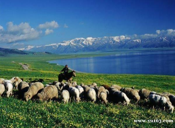 新疆旅游攻略1，“春季新疆要这样玩”，南疆北疆听我的干货 