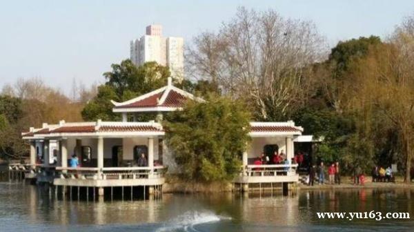 上海一座知名的老牌公园  风景秀美环境清幽  可是却发现大量墓碑 