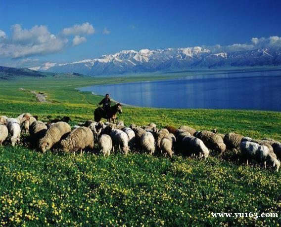 新疆旅游攻略，“春季新疆要这样玩”，南疆北疆听我的干货