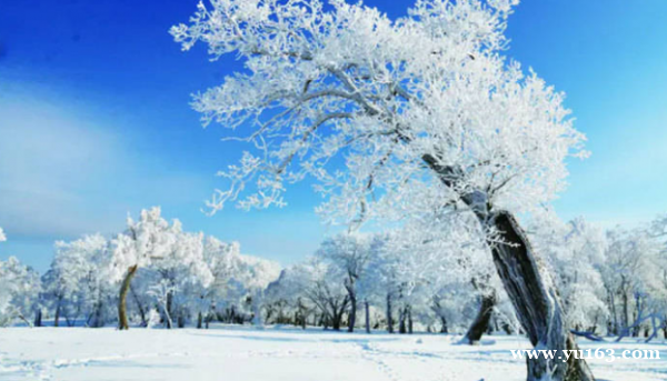 冬日奇观：白山湖仁义风景区的银色梦境 