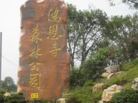 重庆鸿恩寺公园走红：面积逾千亩，拥有三大之最